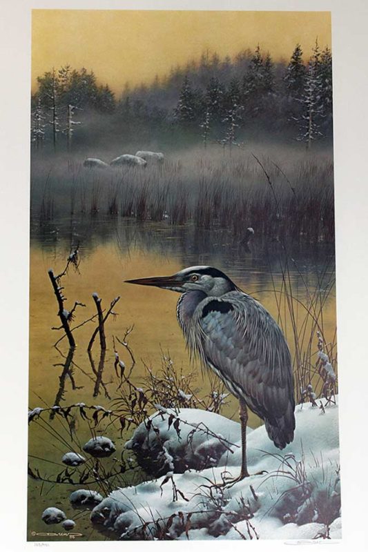 Late Snow | Great Blue Heron By Artist Carl Brenders