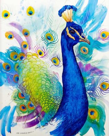 Peacock by Eda Svanhild Davis a limited edition print