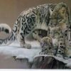 Snow Leopard and Cubs by Patricia Wilke Tadena a limited edition art print