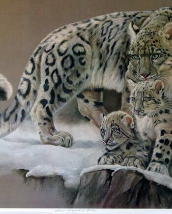Snow Leopard and Cubs by Patricia Wilke Tadena a limited edition art print