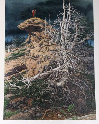 Bev Doolittle limited edition lithograph titled Prayer for the Wild Things