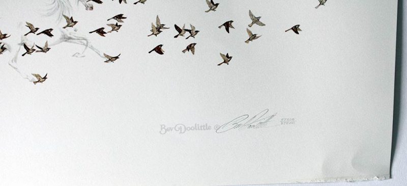 When Wind Had Wings | Bev Doolittle Limited Edition Print