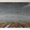 Robert Bateman for Mill Pond Press limited edition lithograph titled Across the Sky - Snow Geese