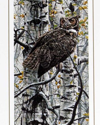 Great Horned Owl by Rod Fredericks a limited edition art print