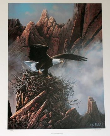 Anasazi Nest Builder II - Limited Edition Lithograph by Ted Blaylock