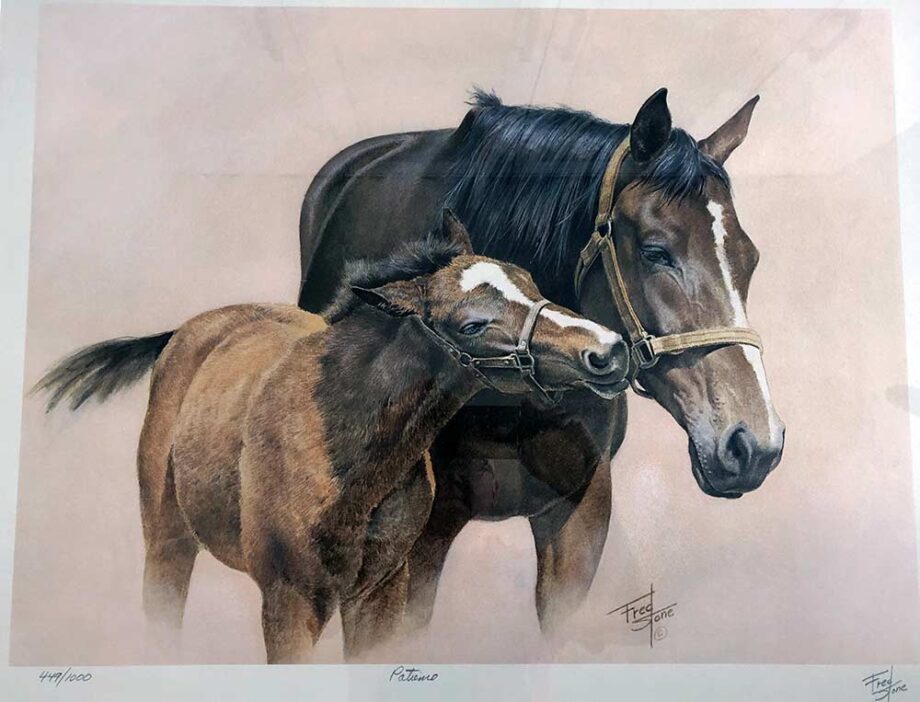 Fred Stone Thoroughbred Artist - limited edition art print Patience