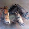 The Thoroughbreds a limited edition lithographic print by equine artist Fred Stone