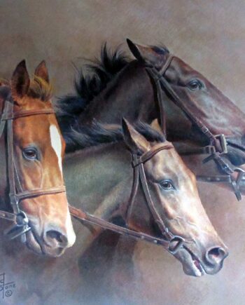 The Thoroughbreds a limited edition lithographic print by equine artist Fred Stone