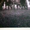 Atsina Warriors Lithographic Print by American photographer Edward S. Curtis
