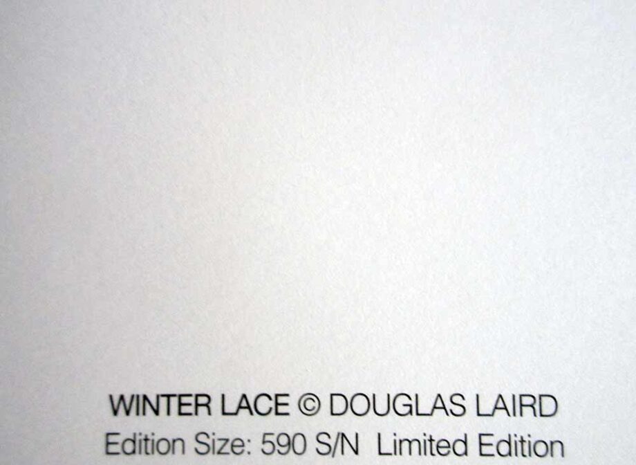 artist D.R. Laird - Winter Lace a lithographic print