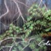 Wolf Creek a Limited Edition Lithographic Print bynoted artist Julie Kramer Cole
