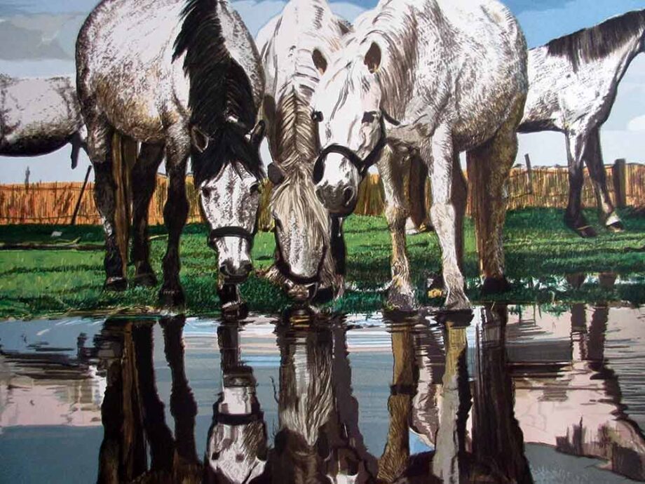 Horses of the Camargue a limited edition lithograph print on paper by Fran Bull
