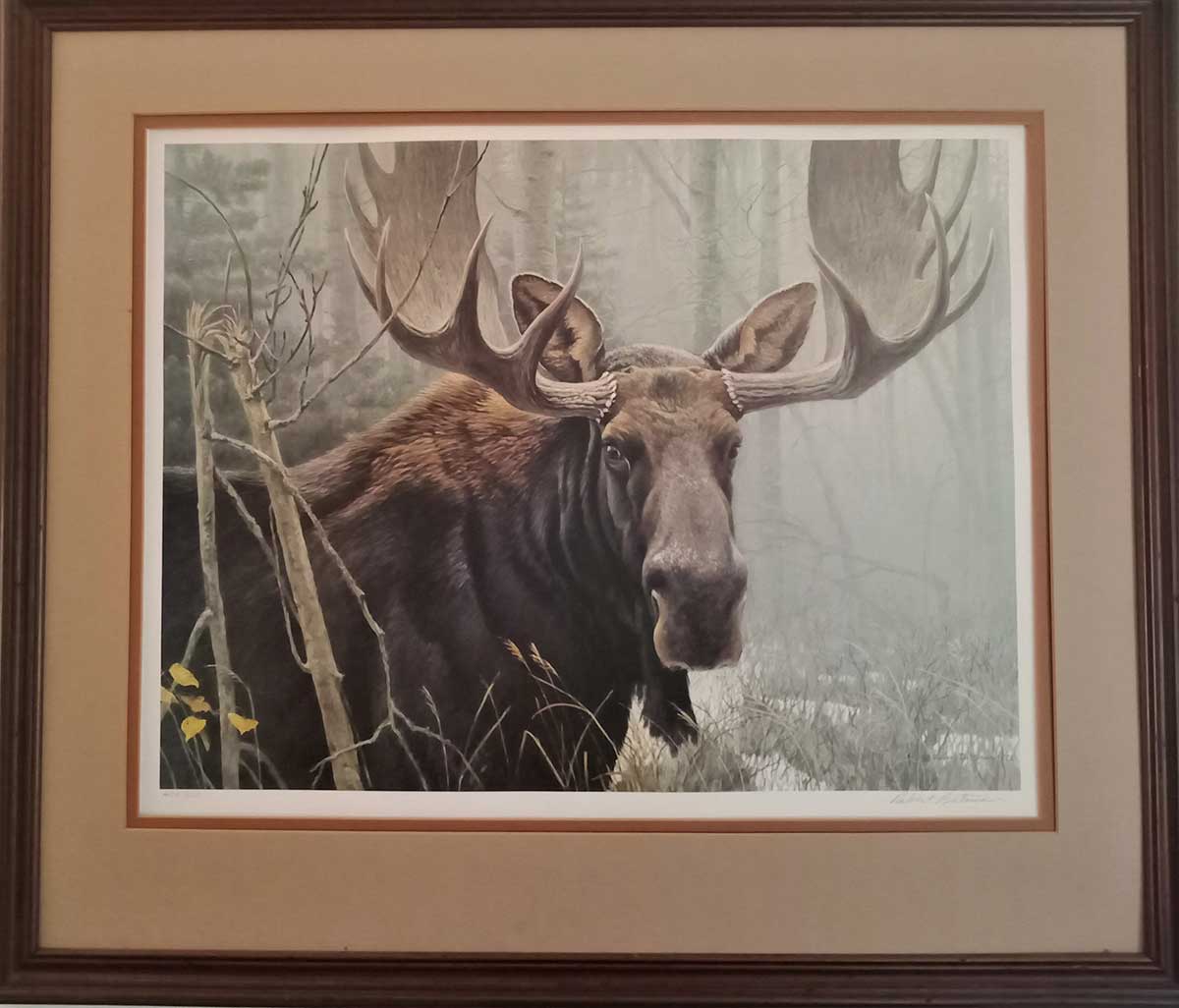 A Robert Bateman Lithographic Print from the Greenwich Workshop titled Bull Moose
